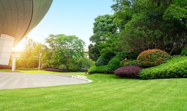 Cost of Commercial Lawn Mowing in Lake Stevens