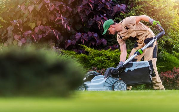Lawn Care And Maintenance in Lake Stevens