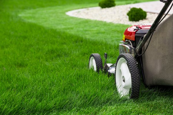 Mowing Service in Lake Stevens