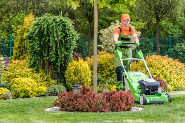 Yard Service in Lake Stevens