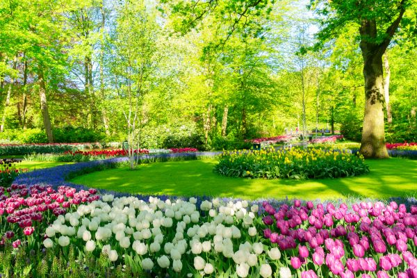 Spring Lawn Care in Lake Stevens