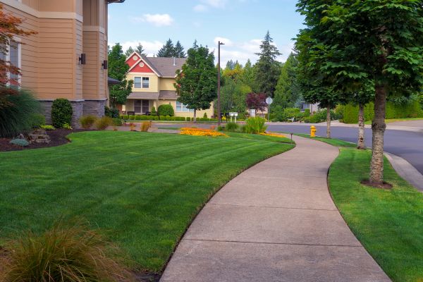 Home Lawn Maintenance in Lake Stevens