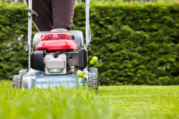 Grass Trimming Service in Lake Stevens