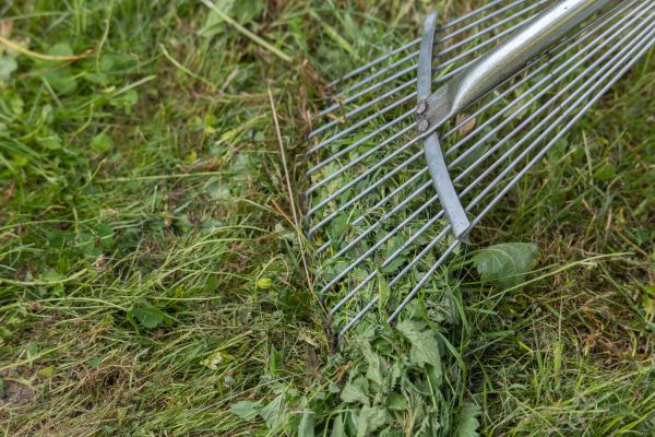 Thatch Raking in Lake Stevens