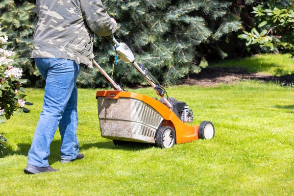 Springtime Lawn Care in Lake Stevens