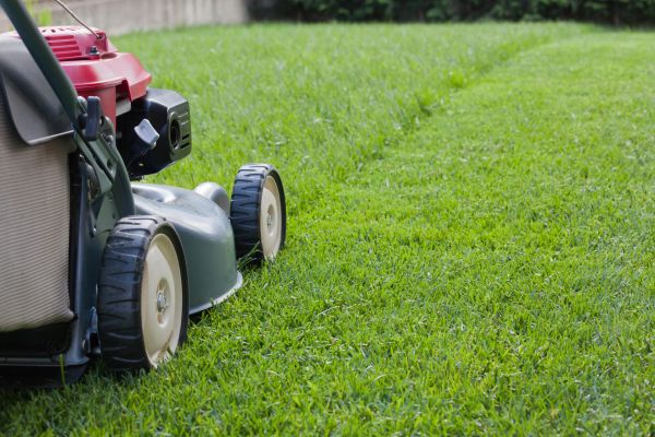 Spring Lawn Maintenance in Lake Stevens