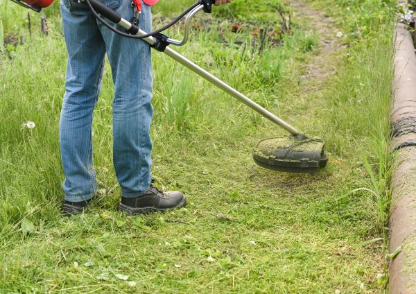 Tall Grass Trimming in Lake Stevens