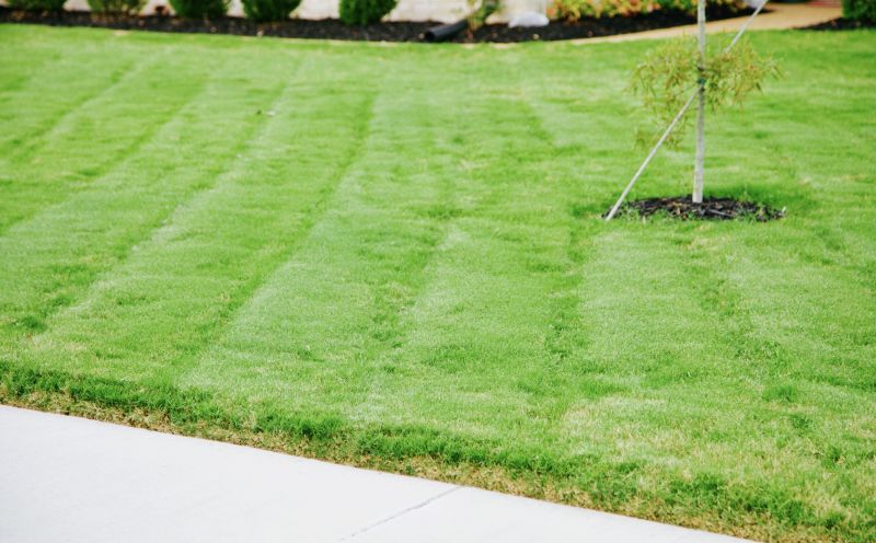 Weekly Lawn Care detail