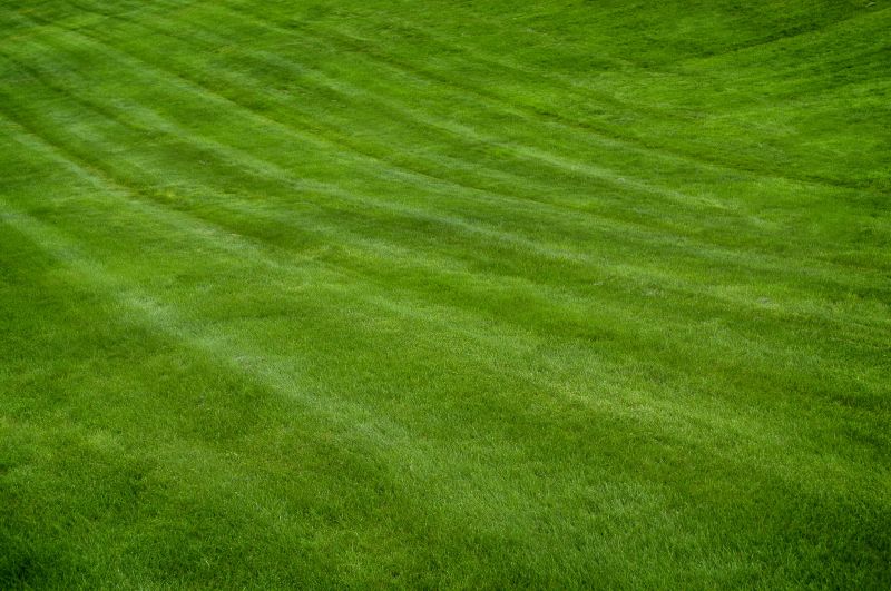 Healthy Lawn Mowing