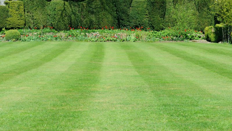 Lawn with Edging