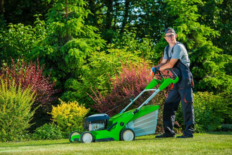 Local Lawn Care Experts